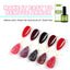 Dissolvant à Vernis à Ongles EELHOE - 15ML