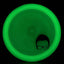 Moonshine Lucid Criminal - Rare DyeMax Logo *Gibson Stash*