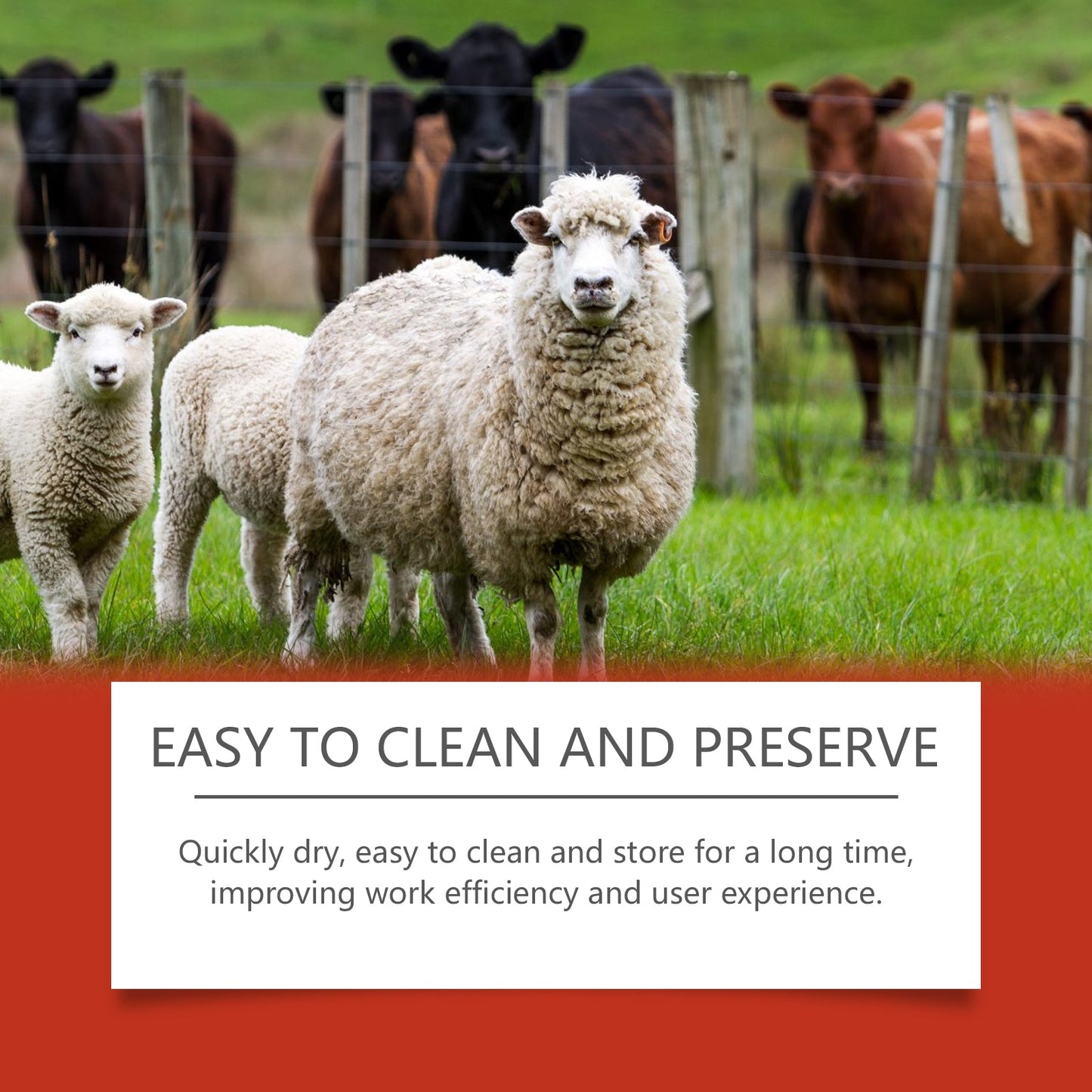 Livestock Marker Crayon Lubricates Durable And Clearly Distinguishes Clear Marker Crayon Livestock Classification - Korvel