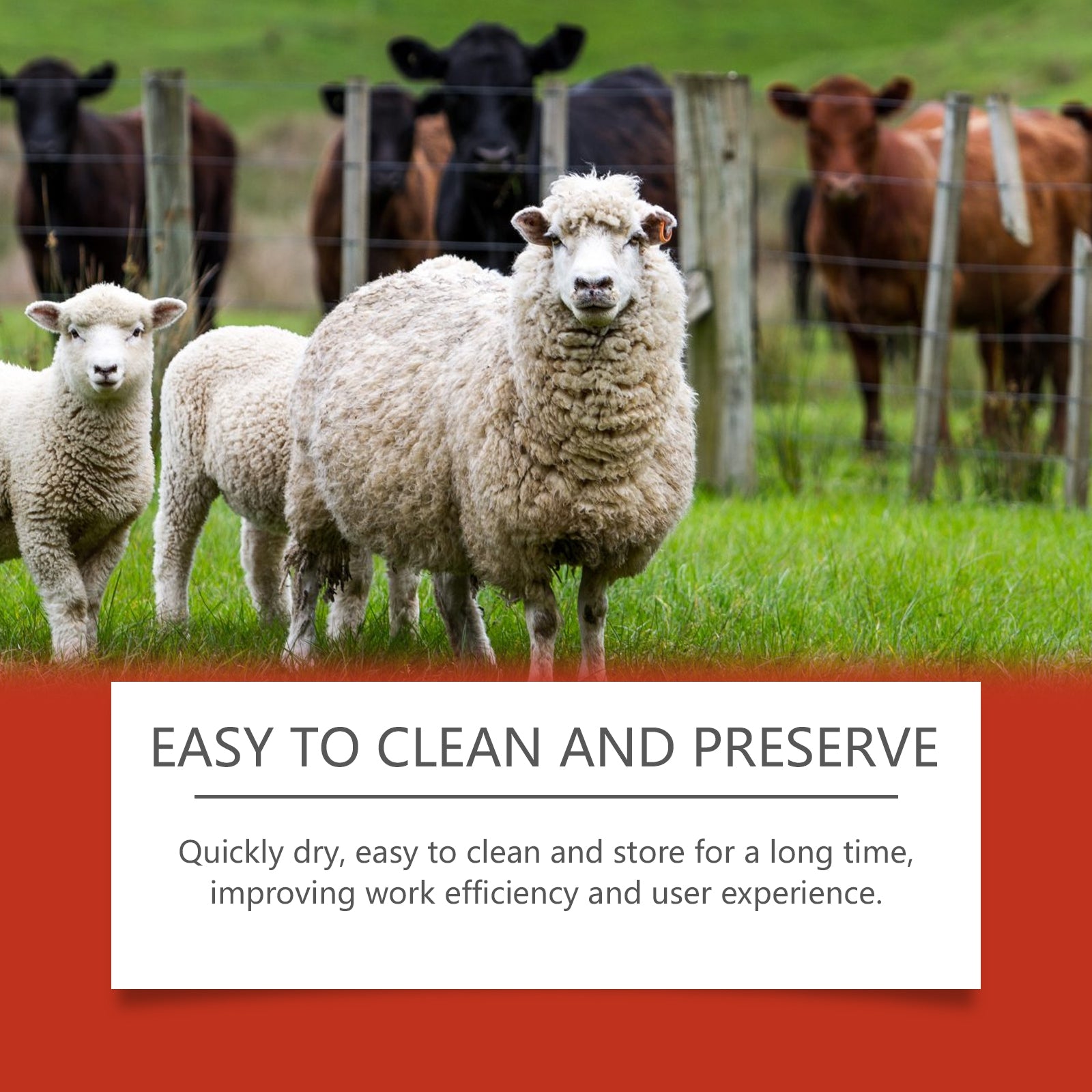 Livestock Marker Crayon Lubricates Durable And Clearly Distinguishes Clear Marker Crayon Livestock Classification - Korvel
