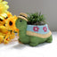 Turtle Flower Pot Decoration Outdoor Courtyard - Korvel