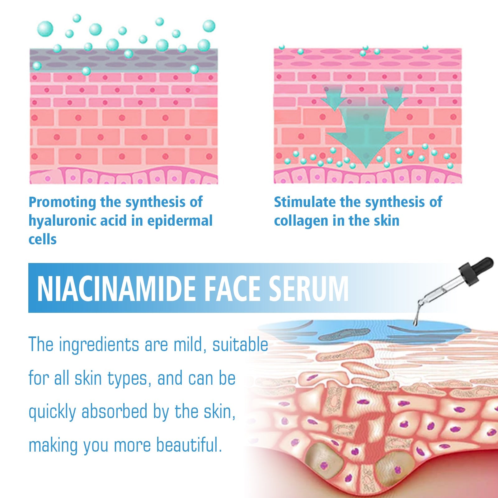 Niacinamide Facial Essence, Brightening, Firming, Hydrating And Whitening Essence - Korvel