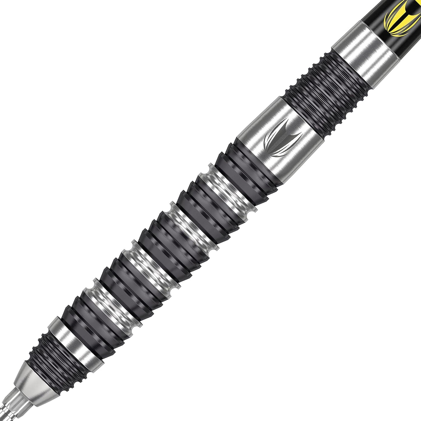 Precision Performance: DIMITRI VAN DEN BERGH 80% Tungsten Steel Tip Darts - Korvel