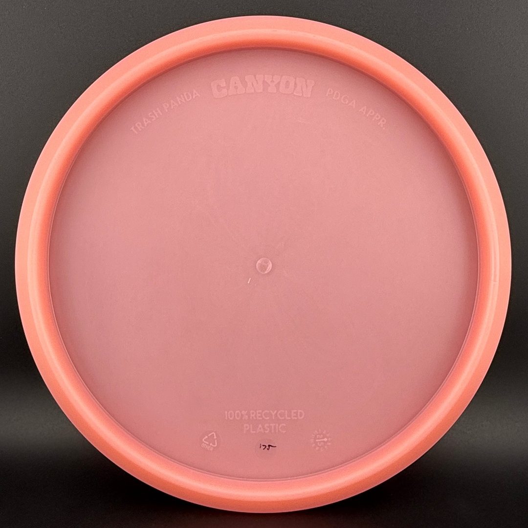 Canyon Disc Golf - Première Course