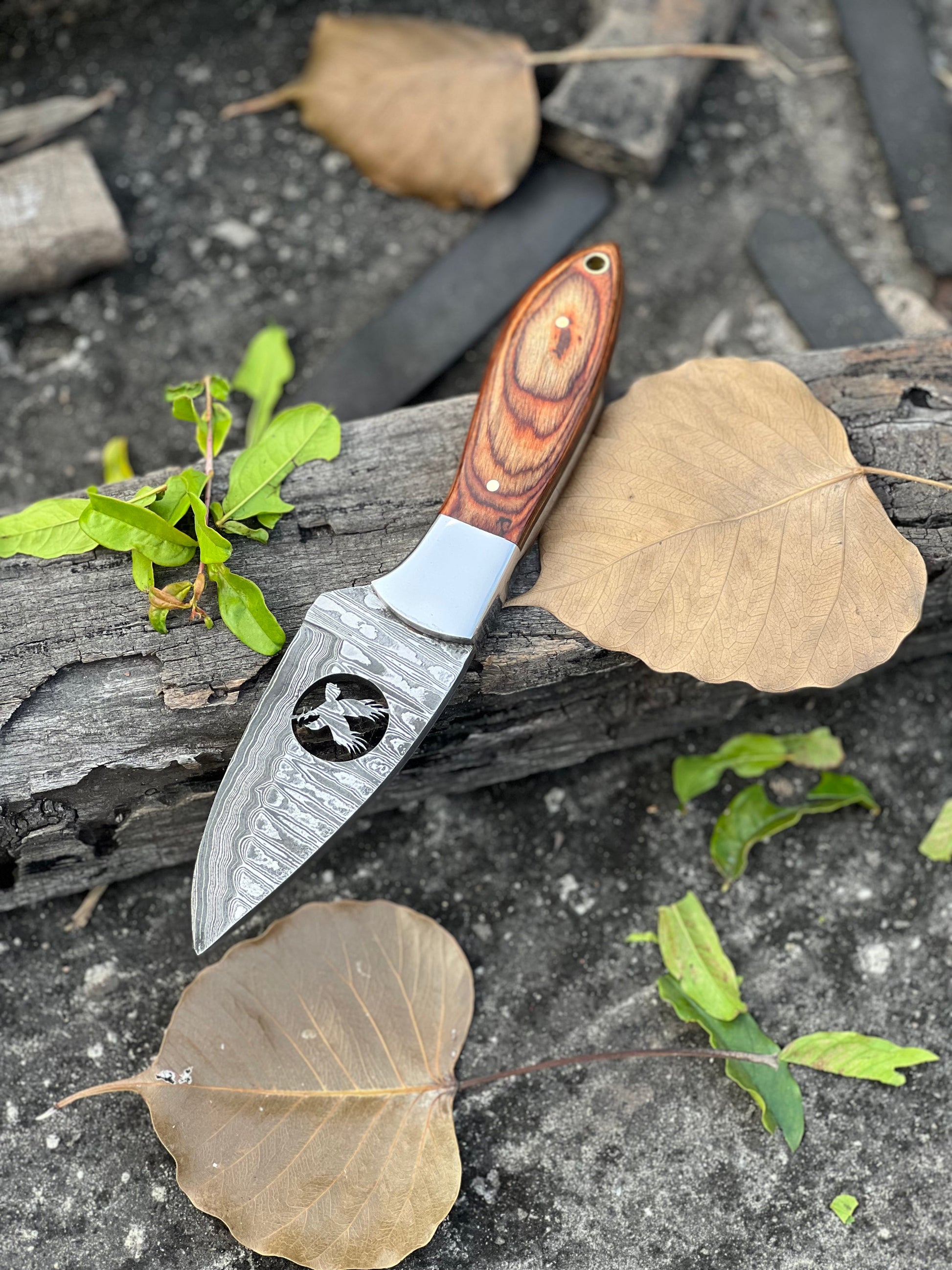 Premium 8" Damascus Steel Skinner Knife with Pakkawood Handle & Leather Sheath - Korvel