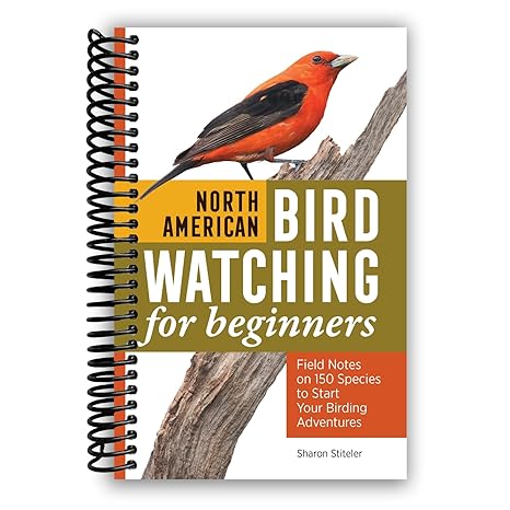 Beginner's Guide to North American Bird Watching (Spiral Bound) - Korvel