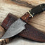 8" Handcrafted Damascus Steel Skinning Knife with Buffalo Horn & Rosewood Handle, Leather Sheath - Korvel