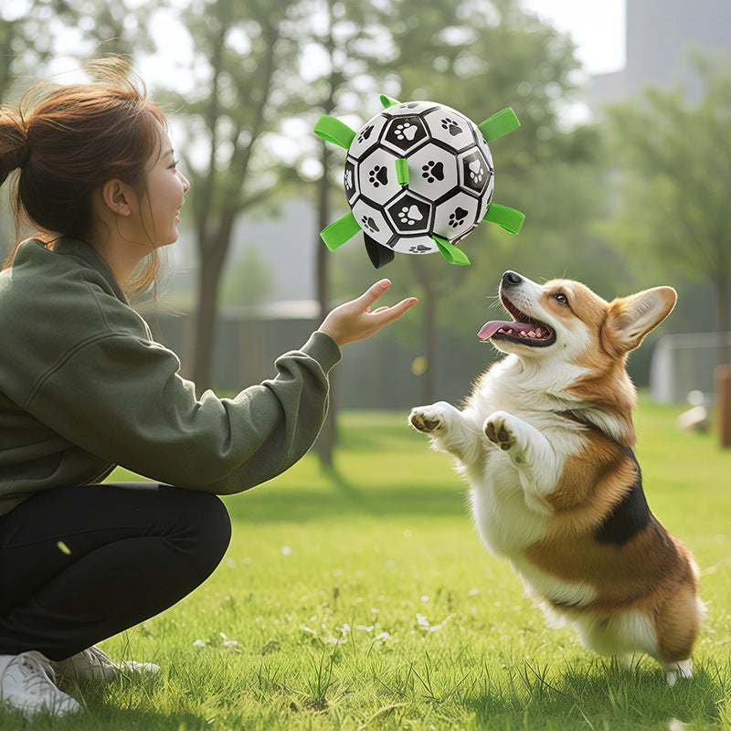 Durable Dog Toy Ball for Chewing and Outdoor Play