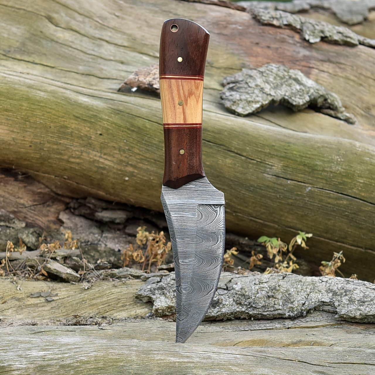 Premium Damascus Skinning Knife with Elegant Rosewood and Olive Wood Handle - Korvel