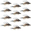 Premium Double Bead Gold Ribbed Hare's Ear Nymphs - 1 Dozen Size 12 for Trout & Bass Fishing - Korvel