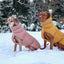 Manteau pour chien imperméable à deux pattes - Chaud et élégant