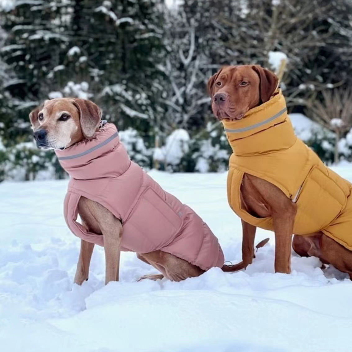 Manteau pour chien imperméable à deux pattes - Chaud et élégant