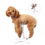 Pet Shower Grooming Table, Dog Fixing Rack & Bathing Hair Dryer Bracket for Small & Medium Pets - Korvel