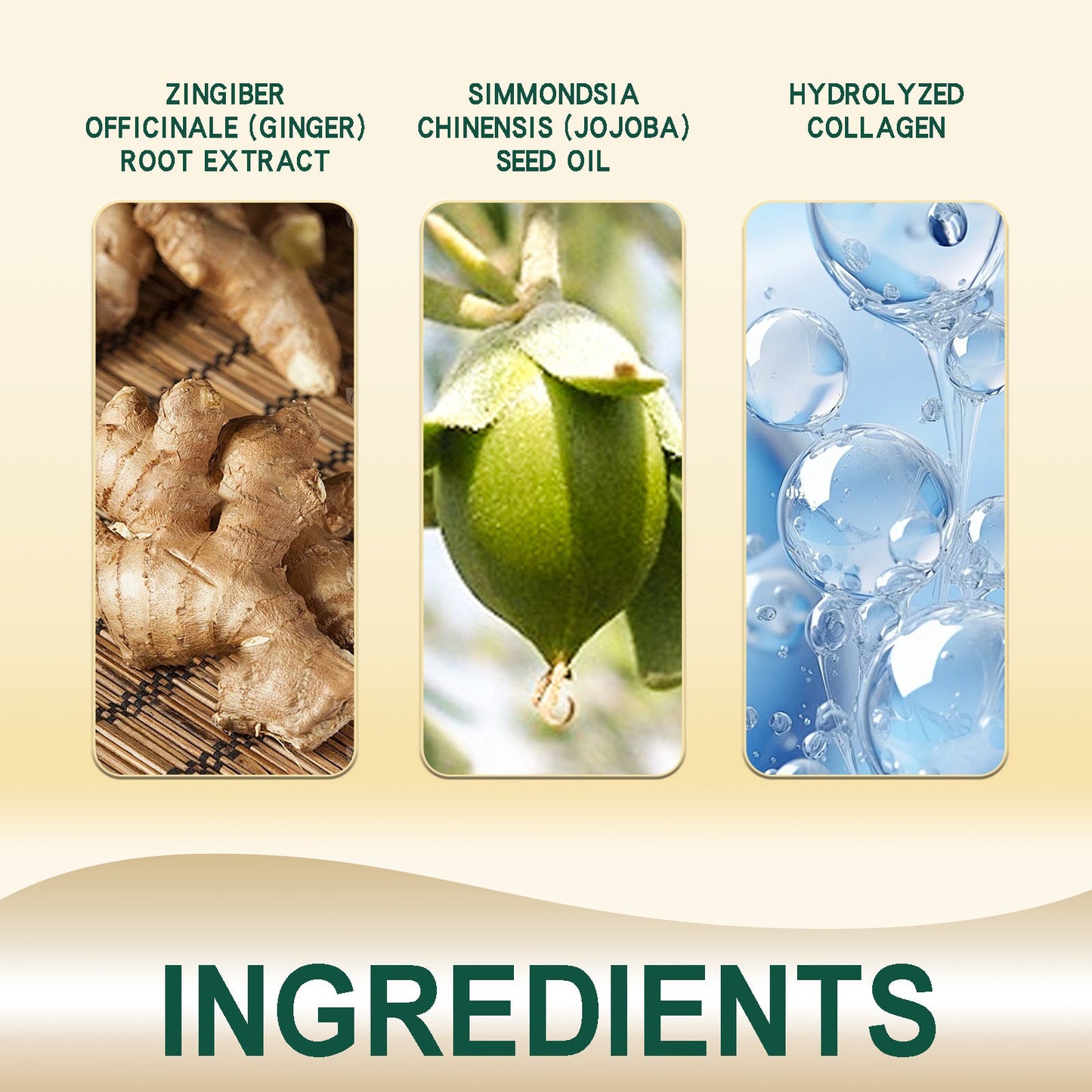 Ginger Hair Ointment for Nourishment and Care