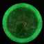 Starfield Oblivion Disc Golf Driver