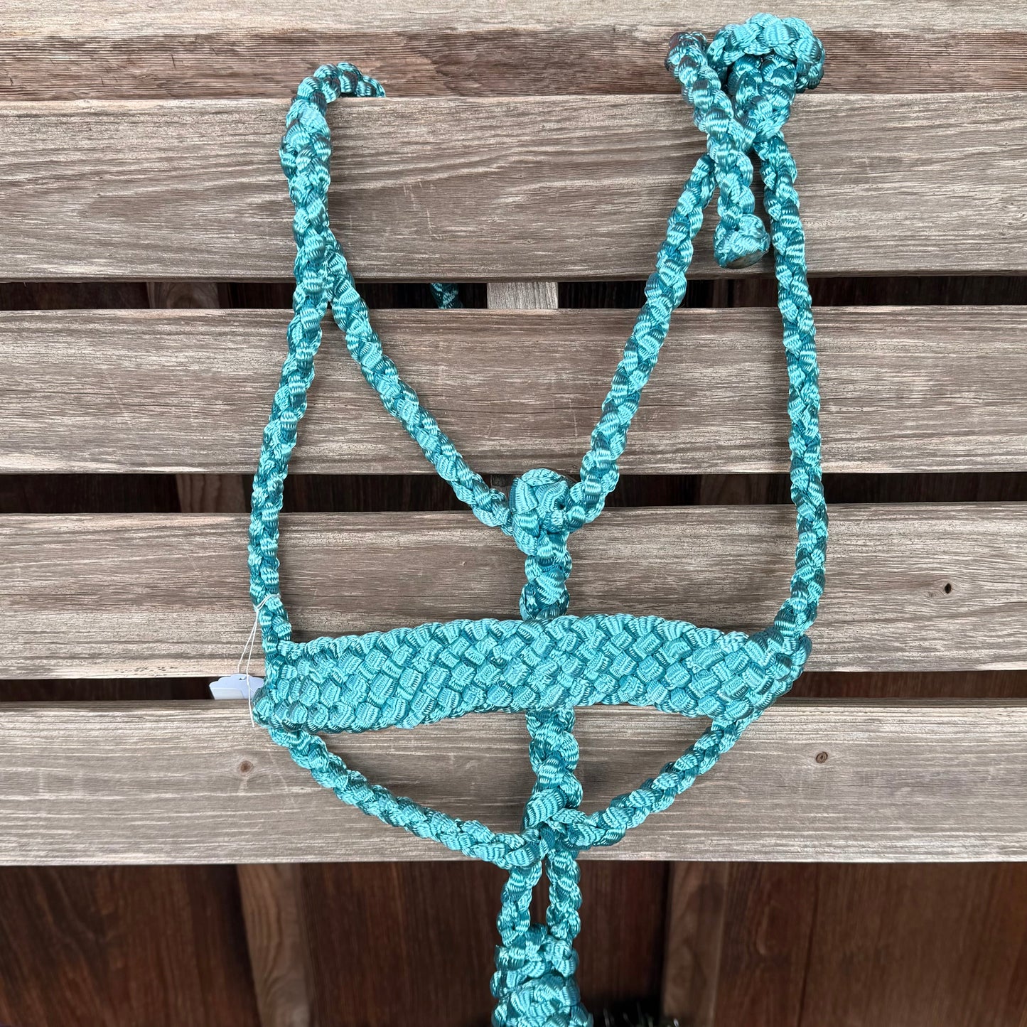 LMB Halter with Detachable Lead