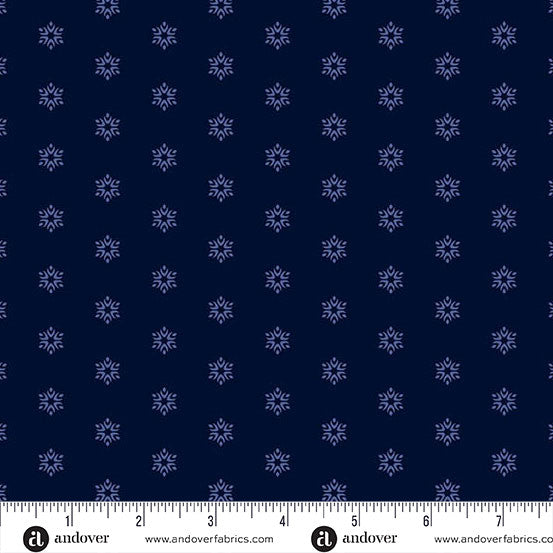 Tissu large en coton Sparkle Midnight Moody Hues 108"