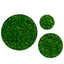Round Framed Moss Wall Decor, only the Large - Korvel