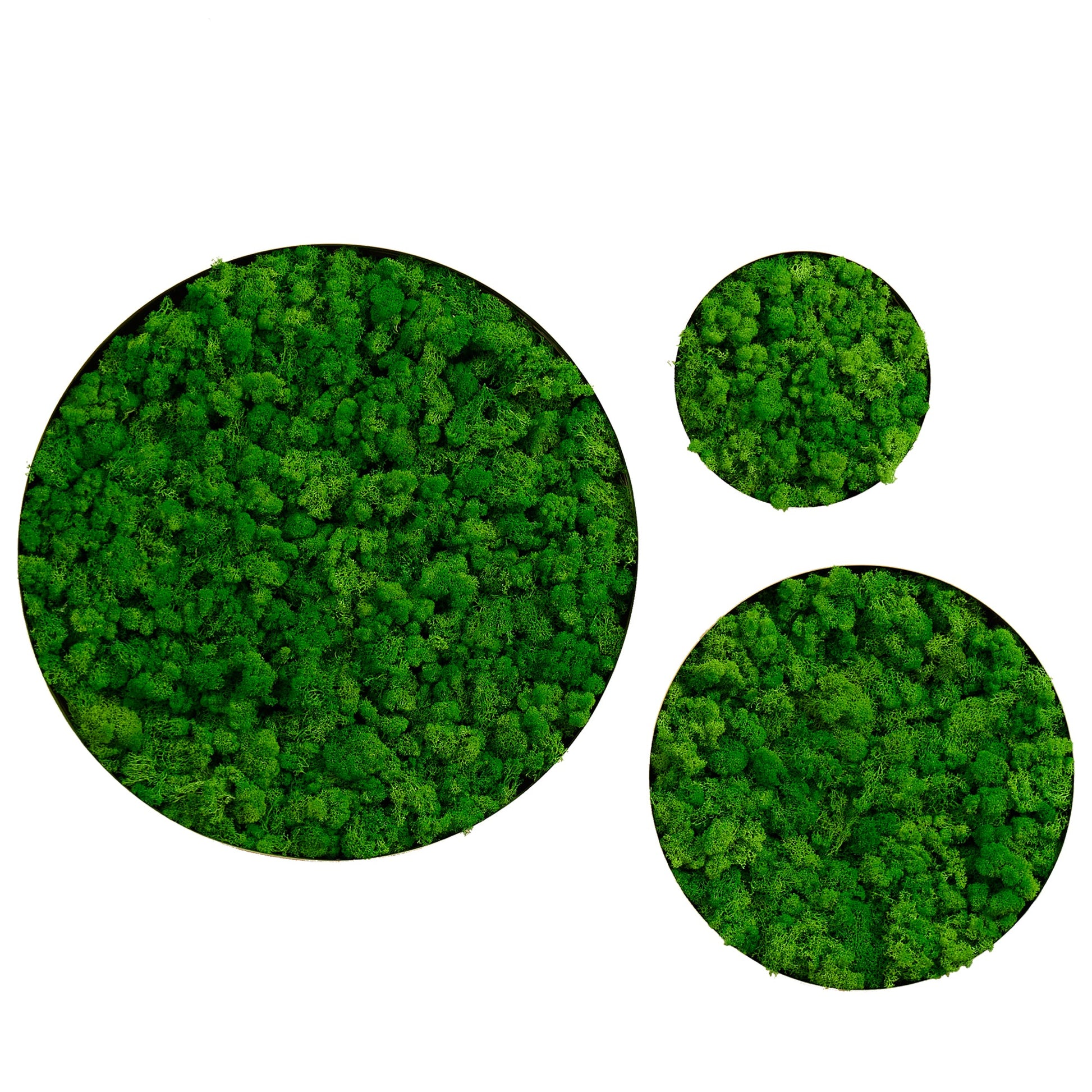 Round Framed Moss Wall Decor, only the Large - Korvel