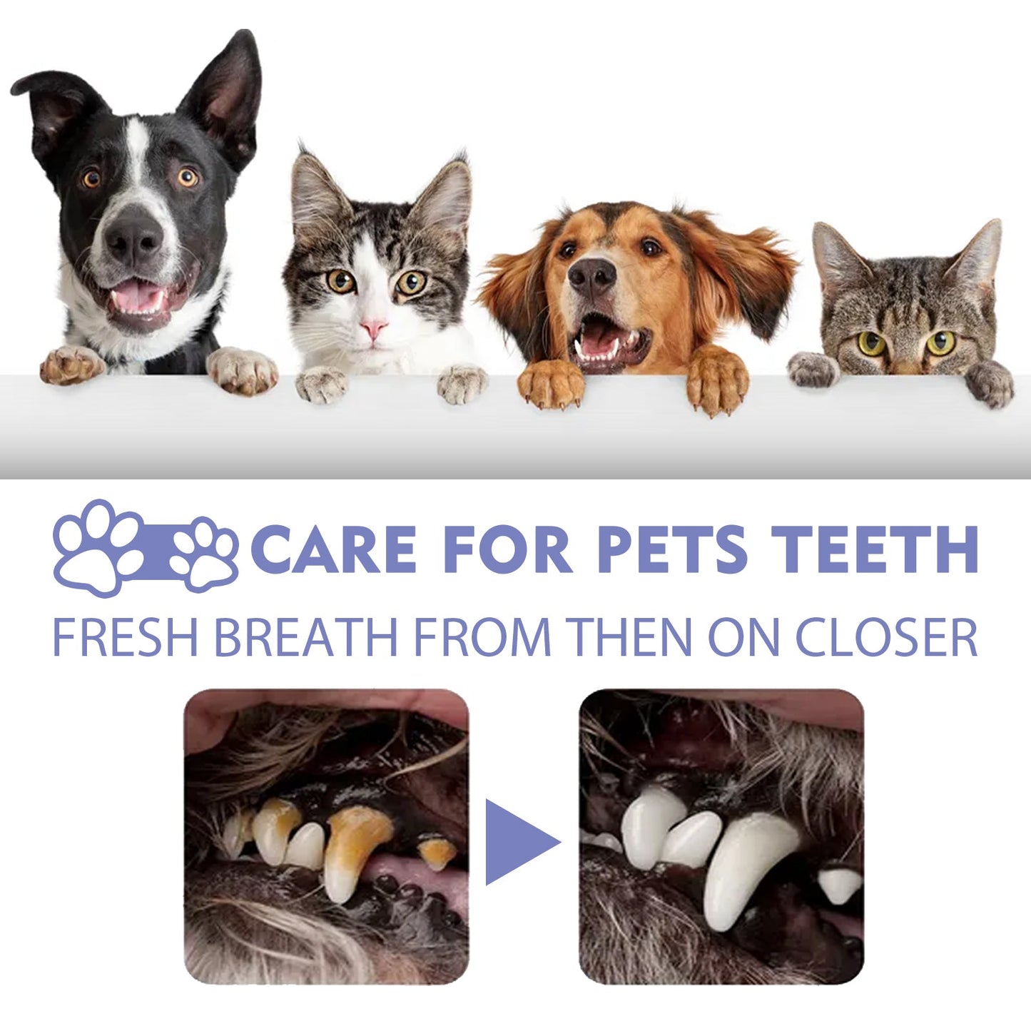 Tooth Cleaning Spray For Cats And Dogs, Remove Tooth Stains Fresh Breath Pets Oral Care Spray - Korvel