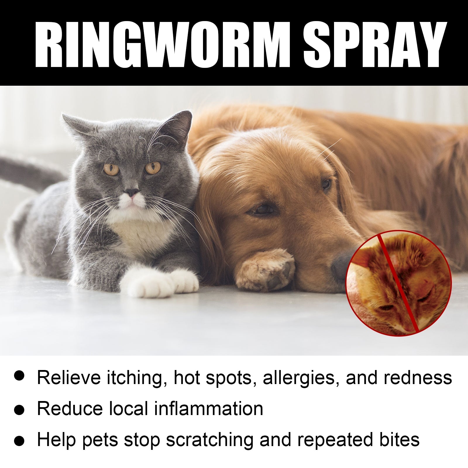 Cat Ringworm Spray, Pet Cats Anti-Mite Cat Moss Care Skin External Use Anti-Itch Spray - Korvel