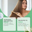 Control Oily Scalp Care Shampoo Moisturizing Repair Nourishing Dry Hair Smooth Shampoo - Korvel