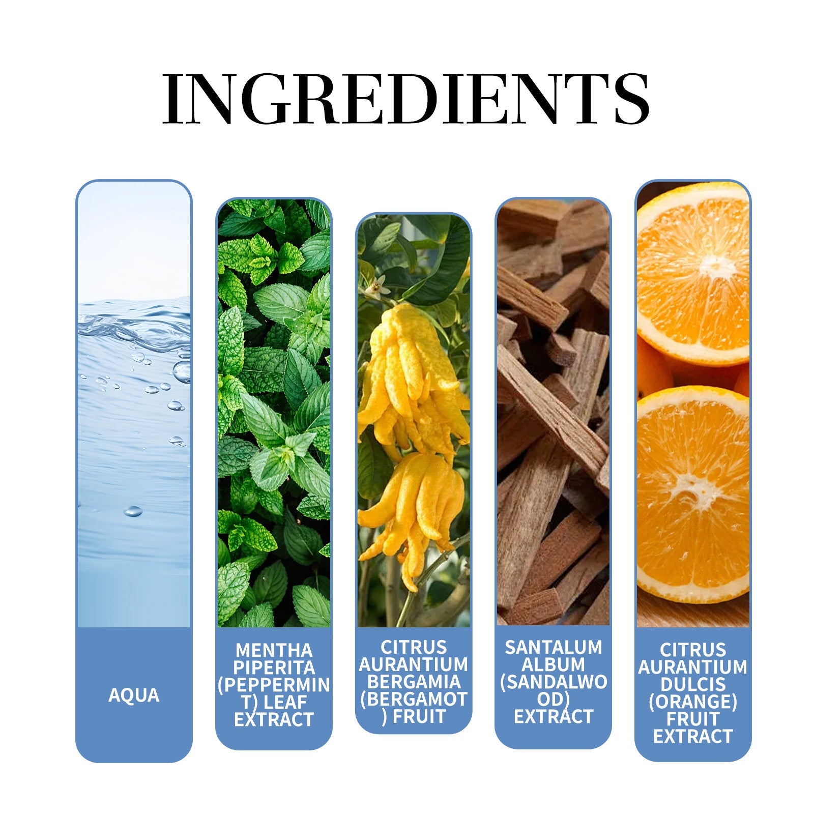Mint Perfume Fresh And Elegant Natural Charming Aroma Lasting Fragrance Conditioning Mint Perfume - Korvel