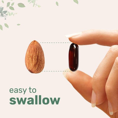 Pumpkin Seed Oil Extract Soft Capsules - Korvel