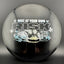 CryZtal FLX Buzzz - Edición Limitada 2025