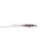 .58ct Ruby and Diamond Pendant in 14KT White Gold