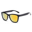 Premium Sun Protection Sunglasses