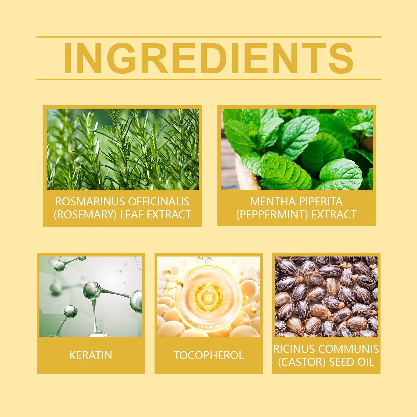 Aceite Hidratante para el Cuidado del Cabello de Romero y Menta