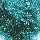 Edible Glitter - 4 oz Jar
