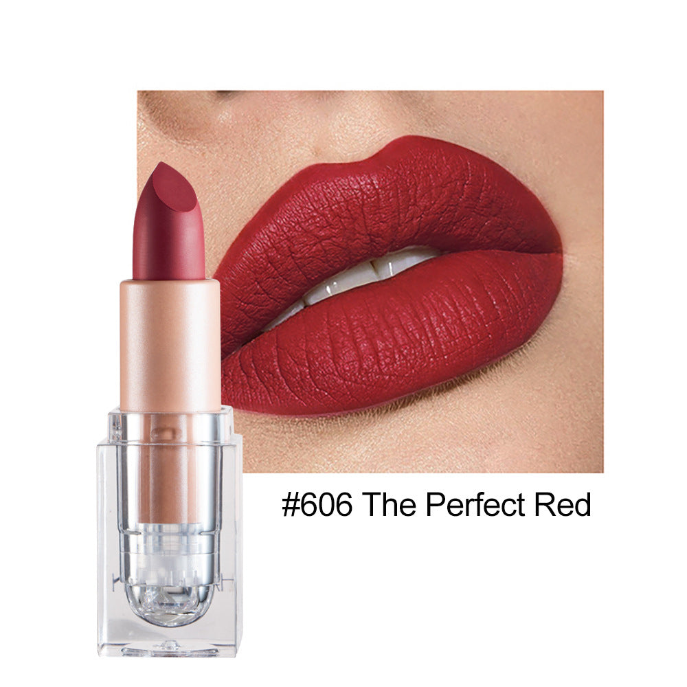 HANDAIYAN Premium Matte Lipstick - 12 Shades of Nude Pink