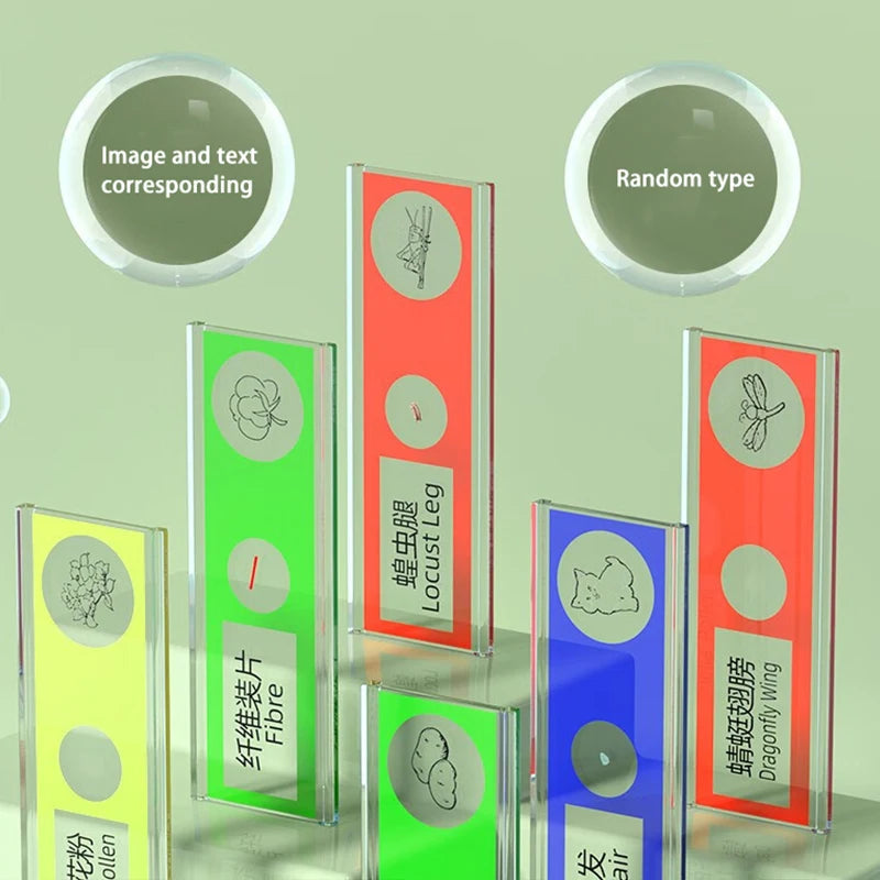 Pocket Microscope with LED Light for Young Explorers