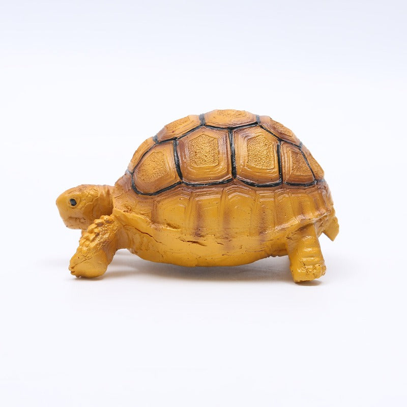 Turtle Brazilian turtle pet resin ornaments - Korvel