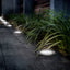 4-Pack Solar Ground Lights for Pathway and Patio