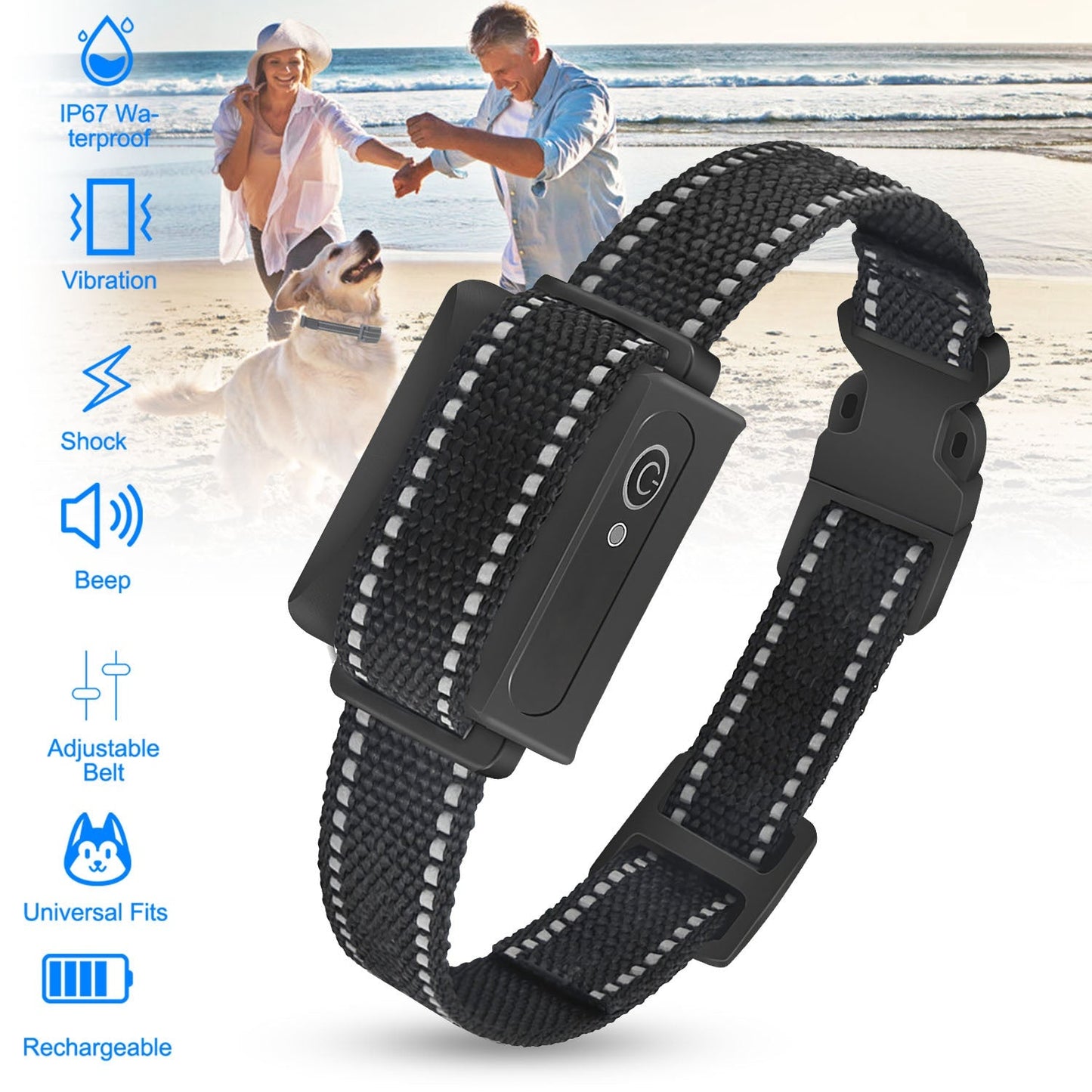 Récepteur de collier de dressage pour chiens GBruno Premium