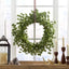27" OXALIS CORNICULATA WREATH - Korvel