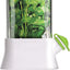 Vanilla vegetable fresh-keeping box pressure resistant fresh-keeping device creative fresh-keeping cup - Korvel