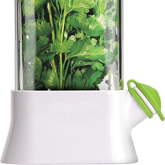 Vanilla vegetable fresh-keeping box pressure resistant fresh-keeping device creative fresh-keeping cup - Korvel