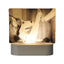 3D Image Internal Carving Laser Acrylic Bedhead Nightlight Plug in - Korvel