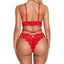 Hollow out new sexy sleepwear, seductive and fun nightgown, suspender and sexy lingerie, see through mesh - Korvel