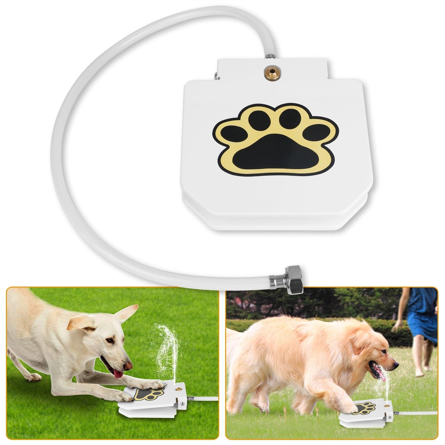 Fuente de Agua Premium GBruno para Perros