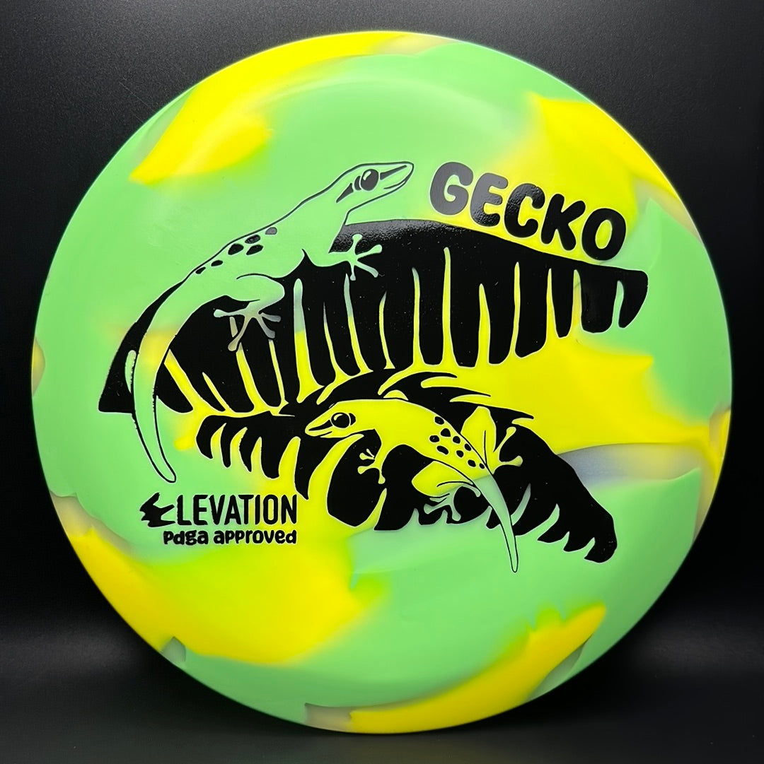 Disco de Golf glO-G Gecko