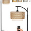 Arc Floor Lamp with Remote Control and Dimmable Bulb
