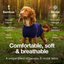 Pet sterilization suit wound anti licking suit suitable for all body types of dogs surgical recovery clothing set ﻿ - Korvel