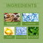 Immune-Boosting Health Drops For Body Treatment - Korvel