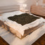 Presidential Seal Parody Velveteen Blanket