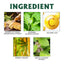 Herbal Purge Purifying Night Patches for Foot Care